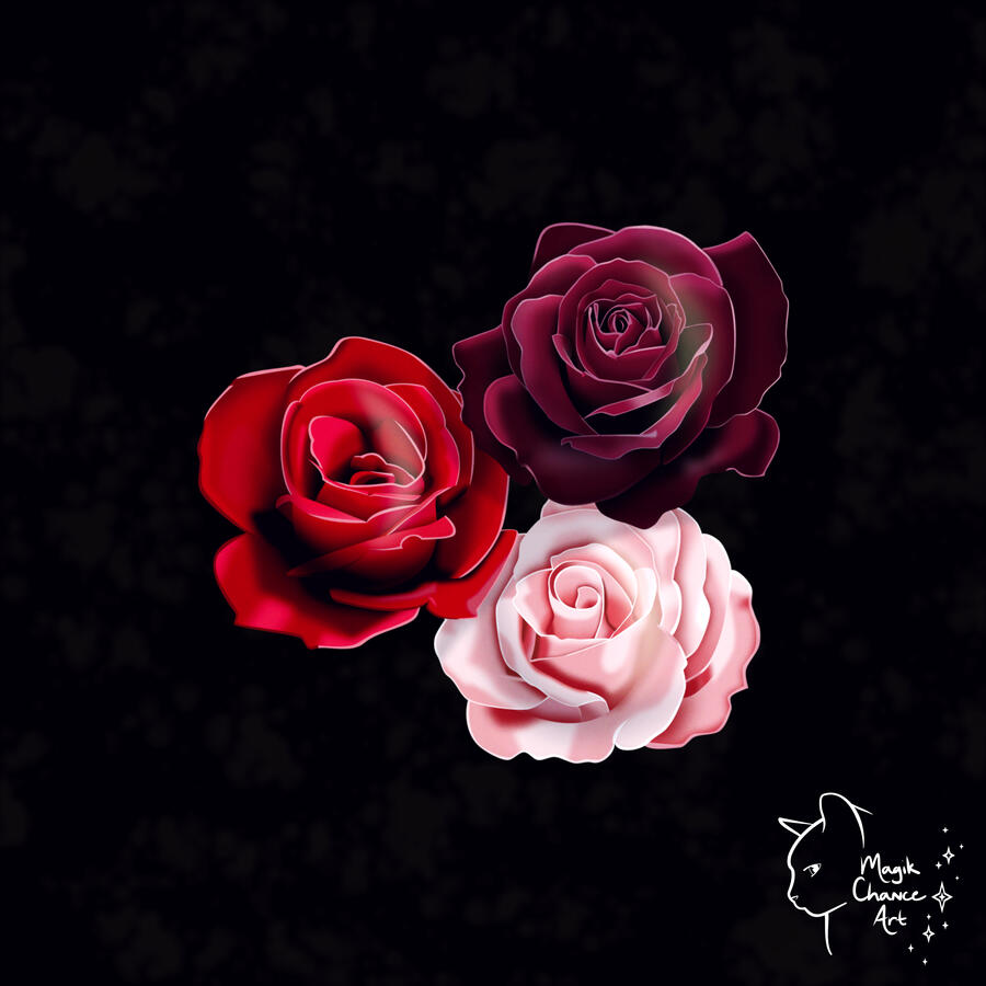 A red, dark red, and pink rose centered on a dark background.