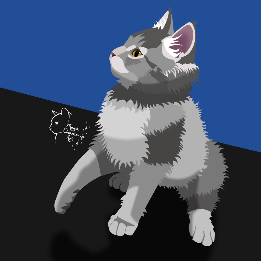 A fluffy gray tabby kitten sits on a table with a paw raised.