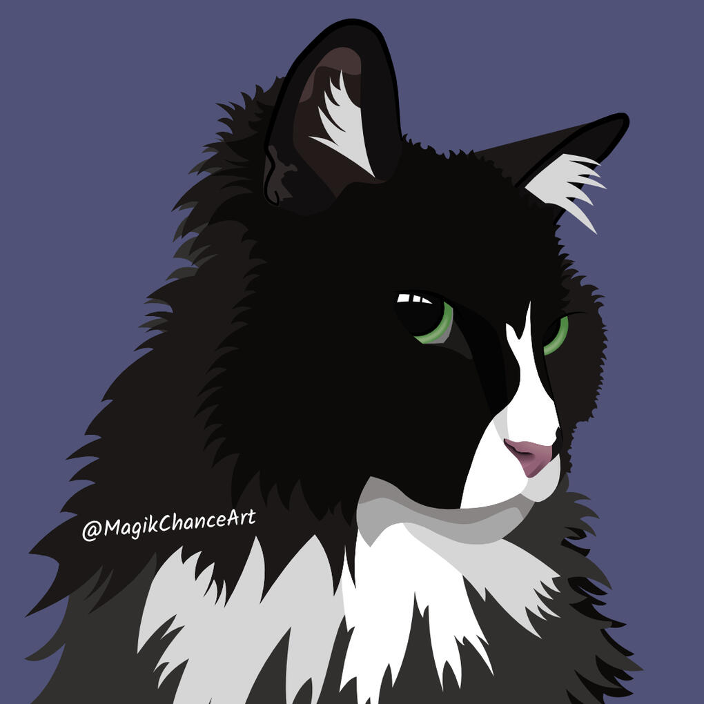 A circular image of a long-haired tuxedo cat with green eyes.