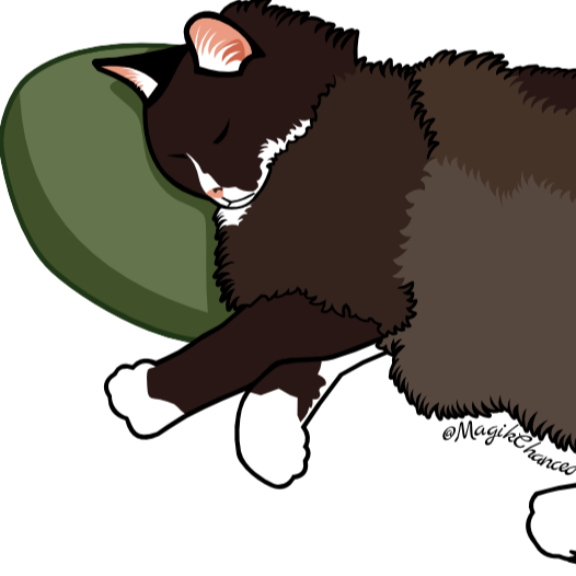 A fluffy brown tuxedo kitty sleeps with his head on a green pillow.
